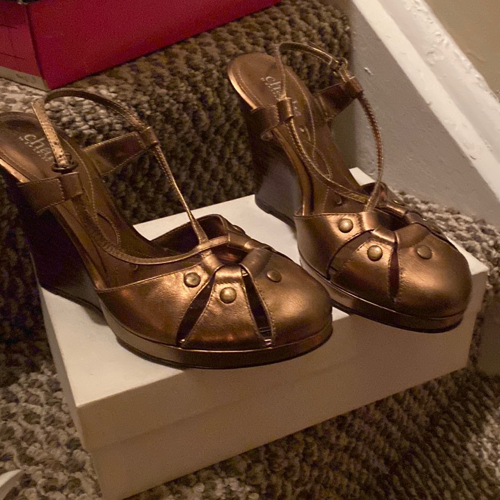 Designer Charles David wedge shoe